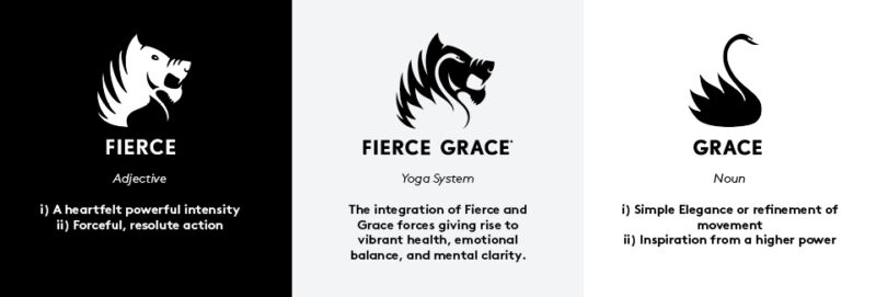 FIERCE definition and meaning